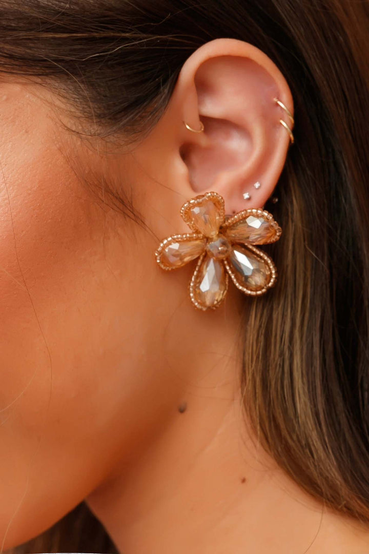 Eden Gold Earrings - Rose Gold